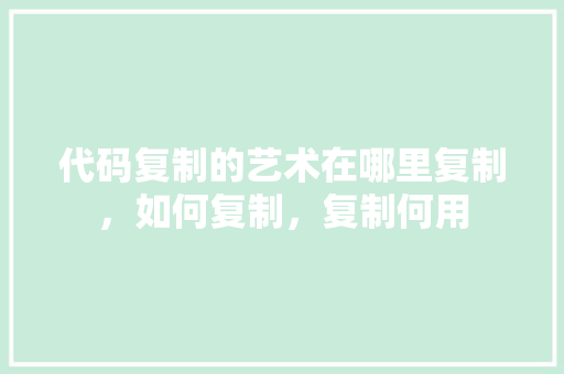 代码复制的艺术在哪里复制，如何复制，复制何用