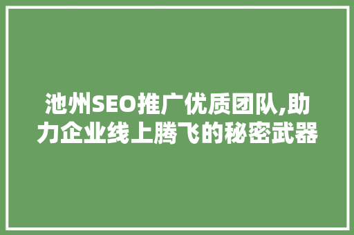 池州SEO推广优质团队,助力企业线上腾飞的秘密武器
