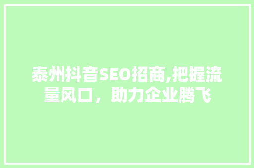 泰州抖音SEO招商,把握流量风口，助力企业腾飞