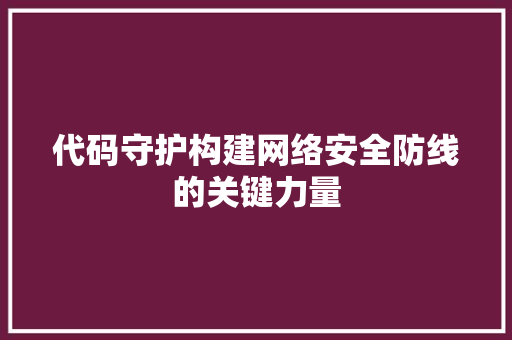 代码守护构建网络安全防线的关键力量