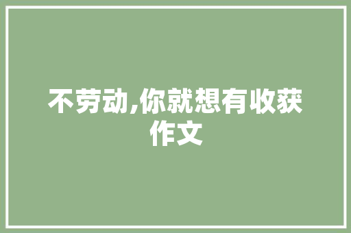 海曙SEO搜索优化,助力企业在线崛起之路