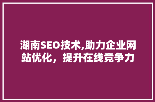 湖南SEO技术,助力企业网站优化，提升在线竞争力