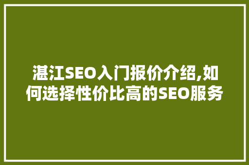 湛江SEO入门报价介绍,如何选择性价比高的SEO服务