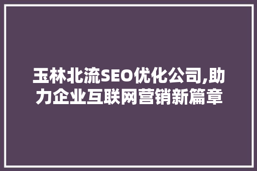 玉林北流SEO优化公司,助力企业互联网营销新篇章