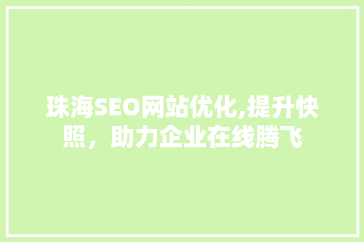 珠海SEO网站优化,提升快照，助力企业在线腾飞