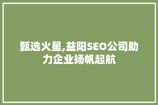 甄选火星,益阳SEO公司助力企业扬帆起航