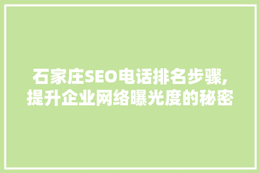 石家庄SEO电话排名步骤,提升企业网络曝光度的秘密武器