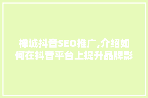 禅城抖音SEO推广,介绍如何在抖音平台上提升品牌影响力