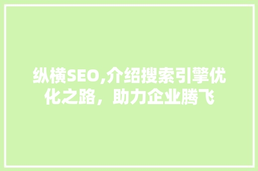 纵横SEO,介绍搜索引擎优化之路，助力企业腾飞