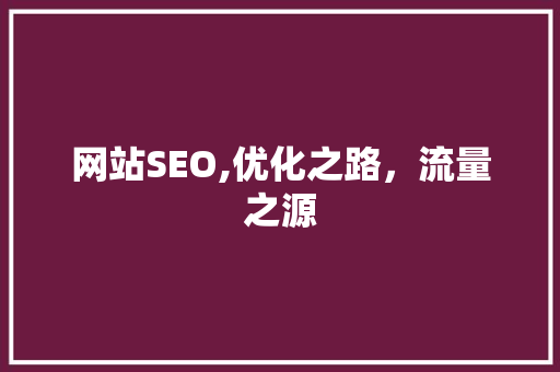 网站SEO,优化之路，流量之源