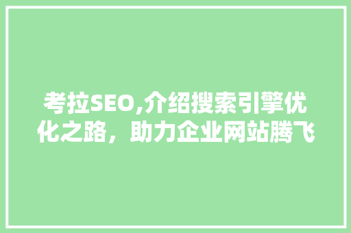 考拉SEO,介绍搜索引擎优化之路，助力企业网站腾飞