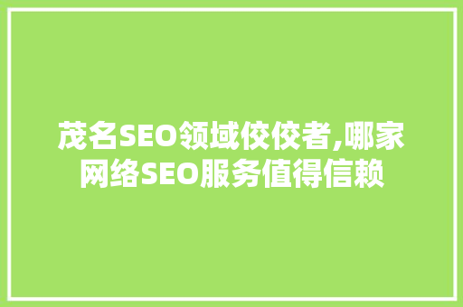 茂名SEO领域佼佼者,哪家网络SEO服务值得信赖