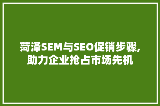 菏泽SEM与SEO促销步骤,助力企业抢占市场先机