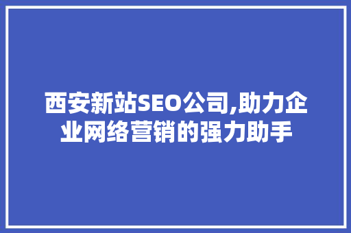 西安新站SEO公司,助力企业网络营销的强力助手