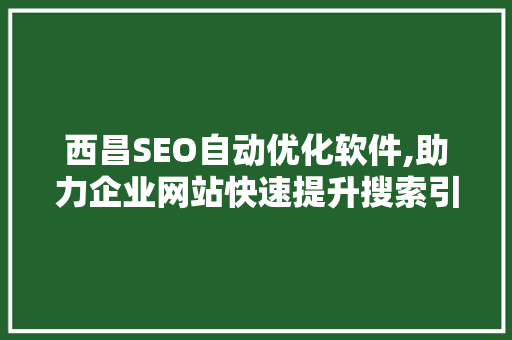 西昌SEO自动优化软件,助力企业网站快速提升搜索引擎排名