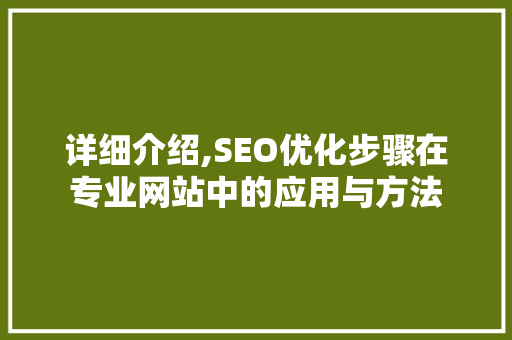 详细介绍,SEO优化步骤在专业网站中的应用与方法