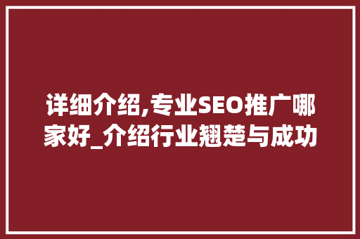详细介绍,专业SEO推广哪家好_介绍行业翘楚与成功之路