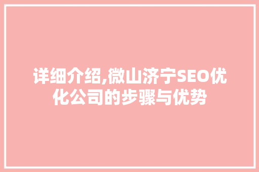 详细介绍,微山济宁SEO优化公司的步骤与优势