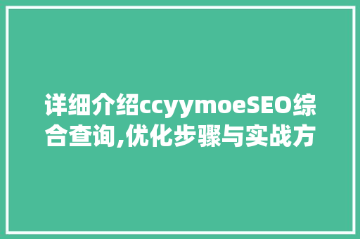 详细介绍ccyymoeSEO综合查询,优化步骤与实战方法