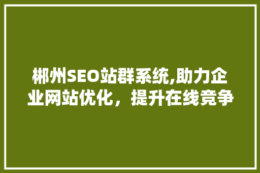 郴州SEO站群系统,助力企业网站优化，提升在线竞争力