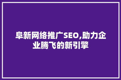 阜新网络推广SEO,助力企业腾飞的新引擎