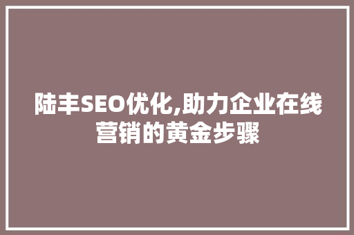 陆丰SEO优化,助力企业在线营销的黄金步骤