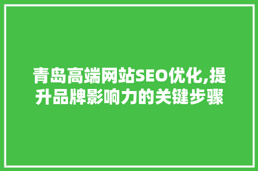 青岛高端网站SEO优化,提升品牌影响力的关键步骤