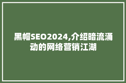 黑帽SEO2024,介绍暗流涌动的网络营销江湖