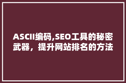 ASCII编码,SEO工具的秘密武器，提升网站排名的方法