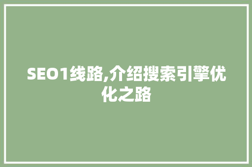 SEO1线路,介绍搜索引擎优化之路