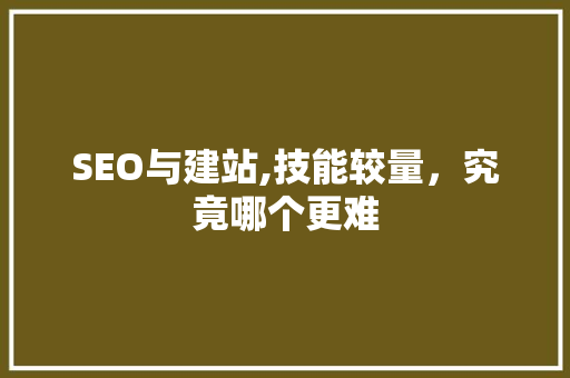 SEO与建站,技能较量，究竟哪个更难