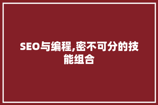 SEO与编程,密不可分的技能组合
