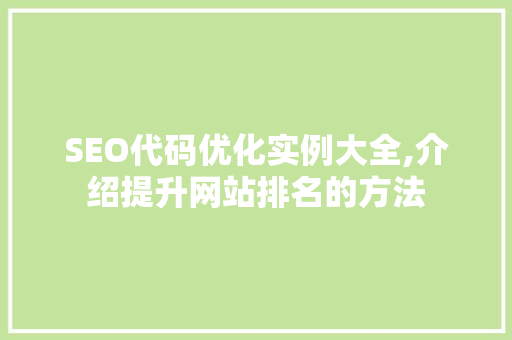 SEO代码优化实例大全,介绍提升网站排名的方法