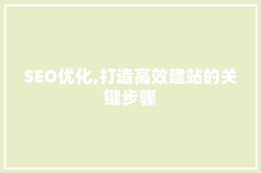 SEO优化,打造高效建站的关键步骤
