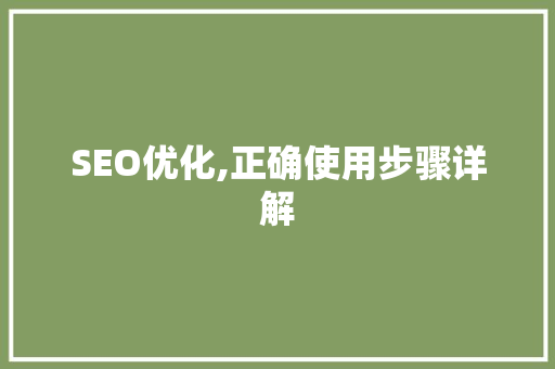 SEO优化,正确使用步骤详解