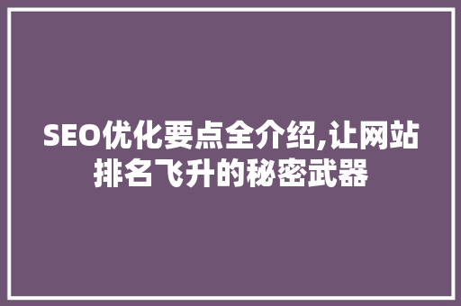 SEO优化要点全介绍,让网站排名飞升的秘密武器