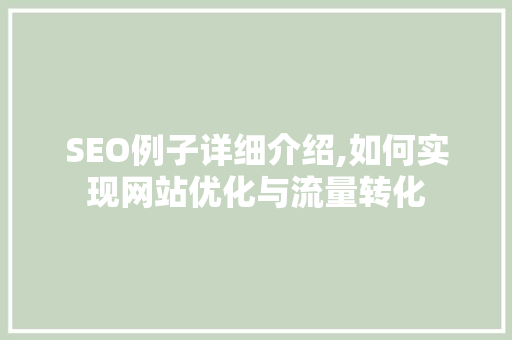 SEO例子详细介绍,如何实现网站优化与流量转化