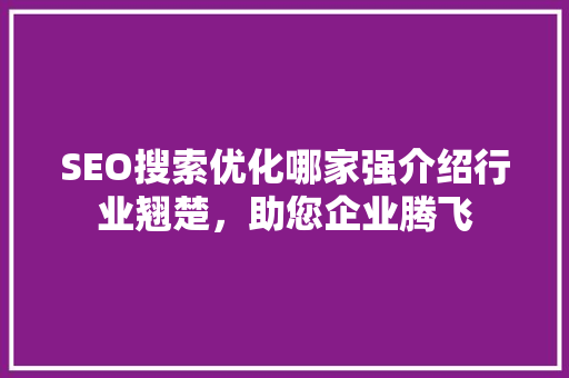 SEO搜索优化哪家强介绍行业翘楚，助您企业腾飞