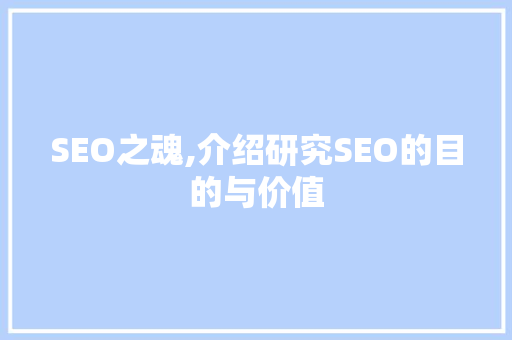 SEO之魂,介绍研究SEO的目的与价值
