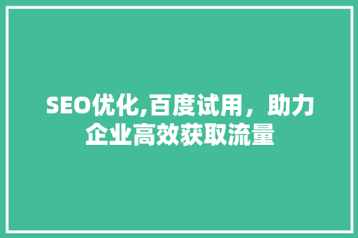 SEO优化,百度试用，助力企业高效获取流量