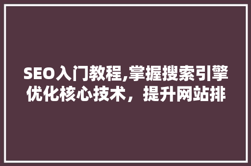 SEO入门教程,掌握搜索引擎优化核心技术，提升网站排名