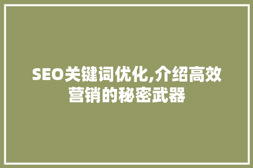 SEO关键词优化,介绍高效营销的秘密武器