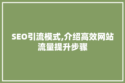 SEO引流模式,介绍高效网站流量提升步骤