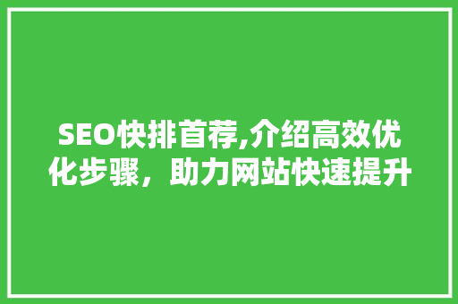 SEO快排首荐,介绍高效优化步骤，助力网站快速提升排名