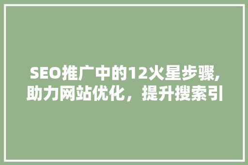 SEO推广中的12火星步骤,助力网站优化，提升搜索引擎排名