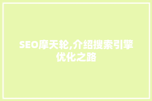 SEO摩天轮,介绍搜索引擎优化之路