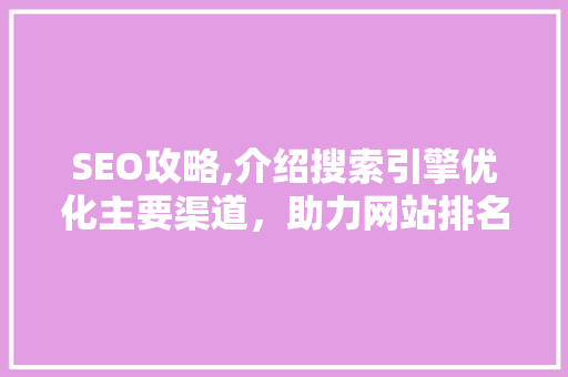 SEO攻略,介绍搜索引擎优化主要渠道，助力网站排名提升