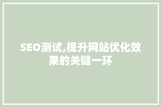SEO测试,提升网站优化效果的关键一环