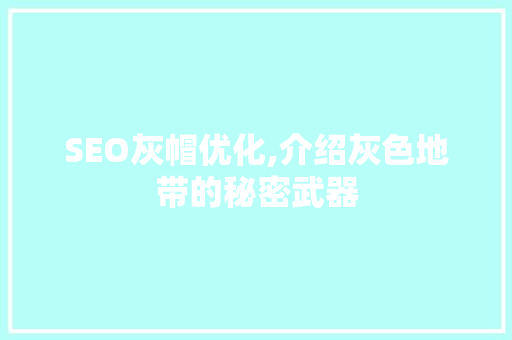 SEO灰帽优化,介绍灰色地带的秘密武器