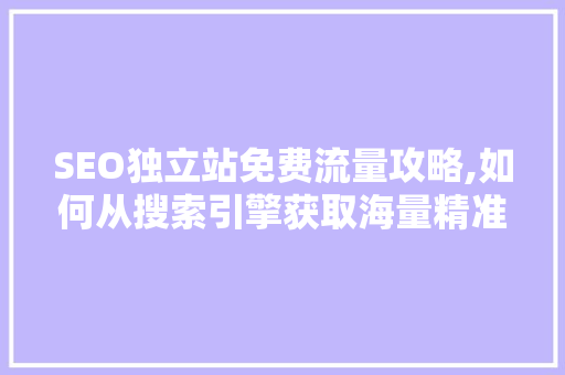 SEO独立站免费流量攻略,如何从搜索引擎获取海量精准用户